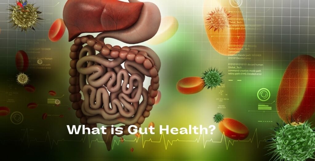 what is gut health?