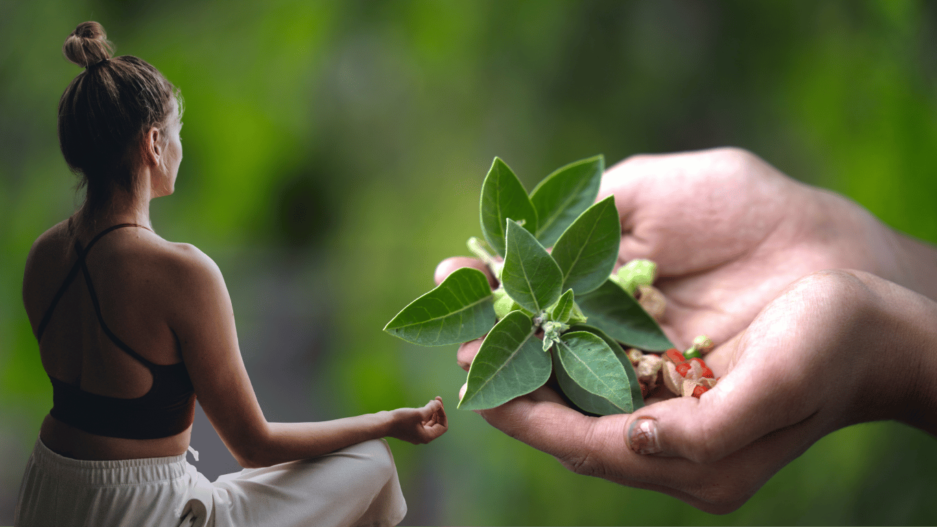 Digestive health Lessons from Ancient India