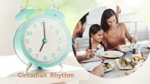 Circadian rhythm